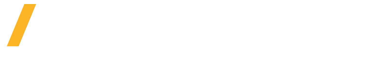 Ansys Technology Partner logo